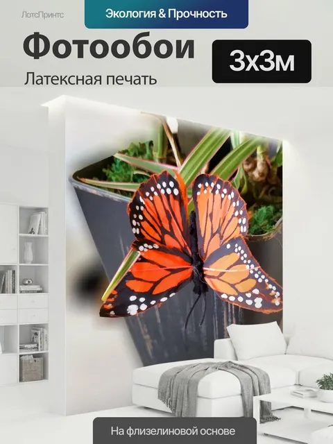 300 × 300 см · Латексная печать
