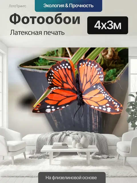 400 × 300 см · Латексная печать