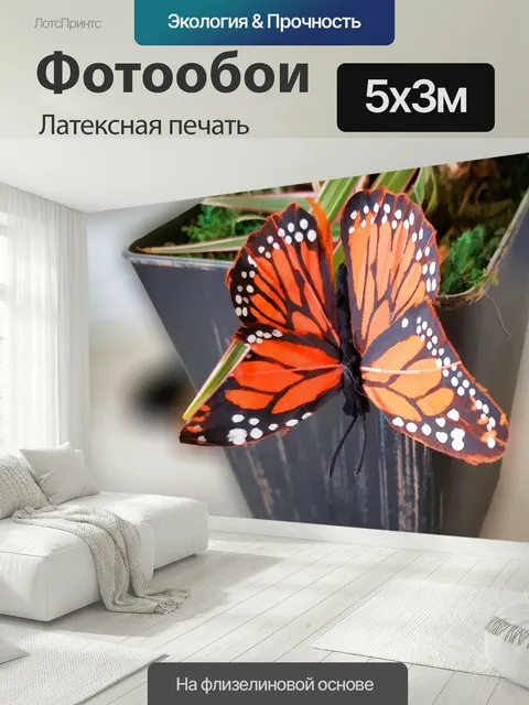 500 × 300 см · Латексная печать