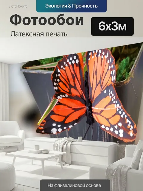 600 × 300 см · Латексная печать