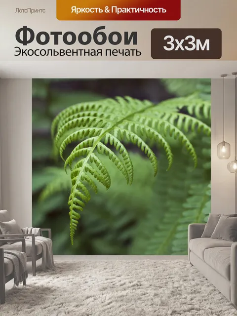 Фотообои Папоротник, листья, план