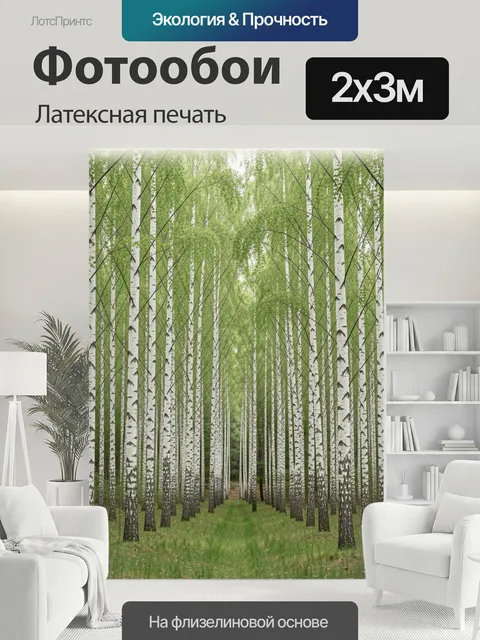 200 × 300 см · Латексная печать