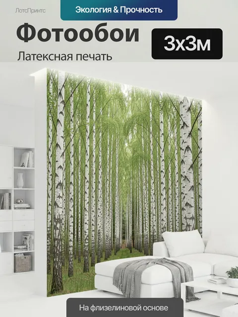 300 × 300 см · Латексная печать