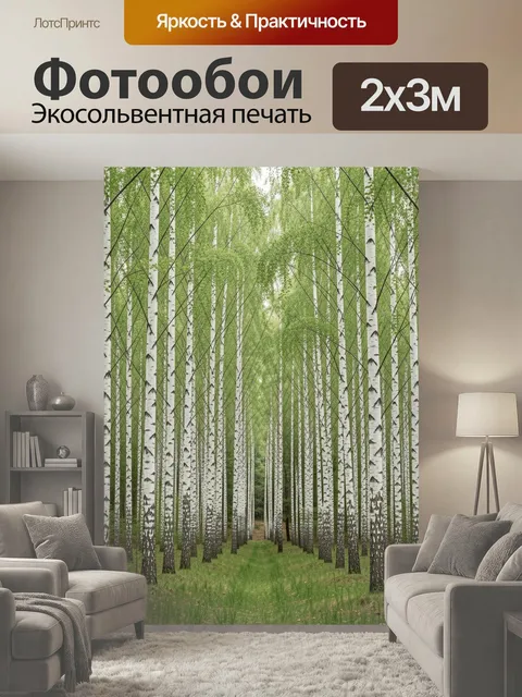 200 × 300 см · Экосольвентная печать