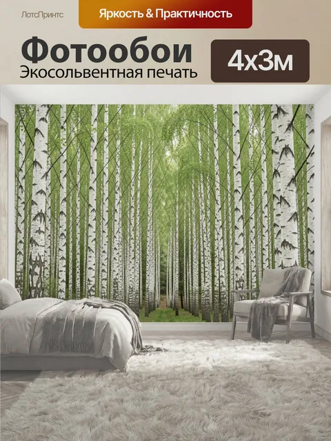 400 × 300 см · Экосольвентная печать
