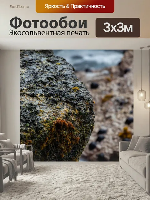 Фотообои Мокрые камни, морской берег, маврикий
