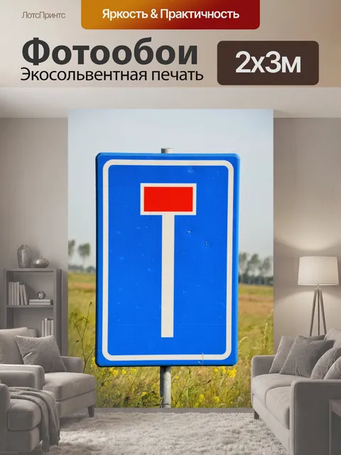 200 × 300 см · Экосольвентная печать