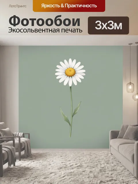 Фотообои Ромашка на зелёном фоне