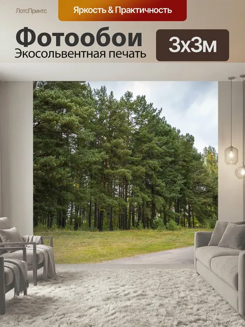 Фотообои Сосновый лес, лес, хвойный лес