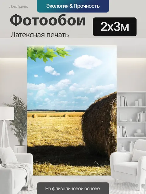200 × 300 см · Латексная печать