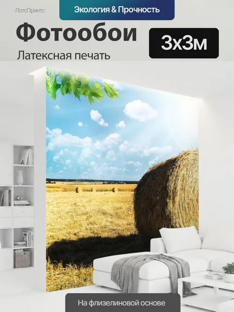 300 × 300 см · Латексная печать