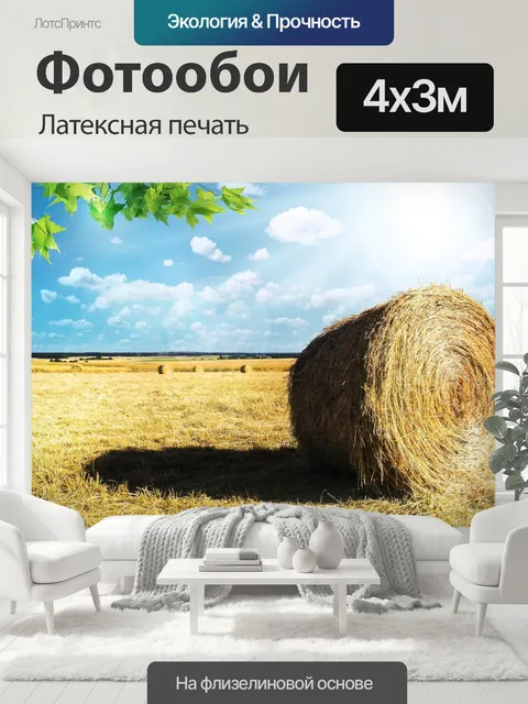 400 × 300 см · Латексная печать