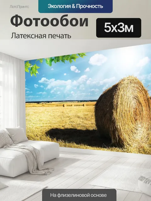 500 × 300 см · Латексная печать