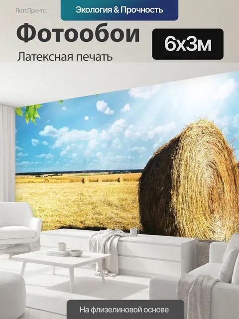 600 × 300 см · Латексная печать