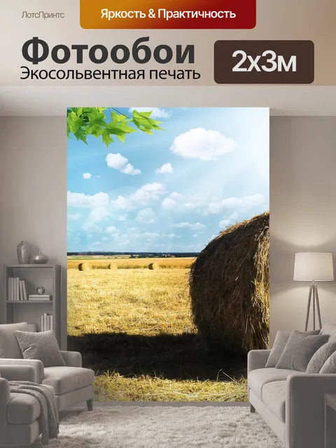 200 × 300 см · Экосольвентная печать