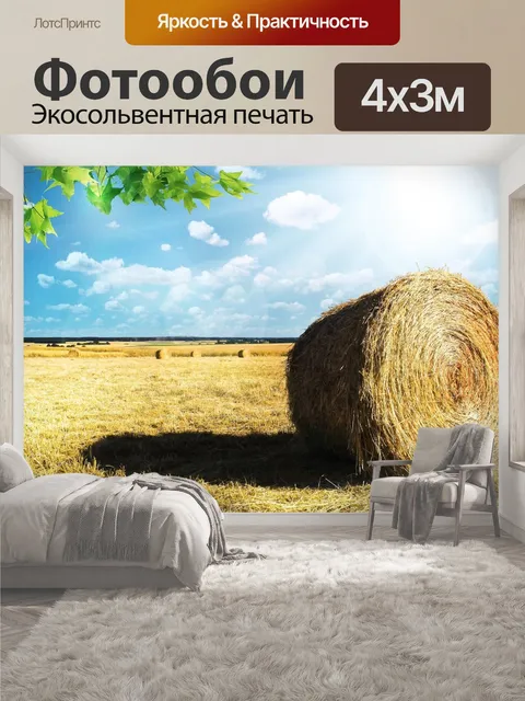 400 × 300 см · Экосольвентная печать