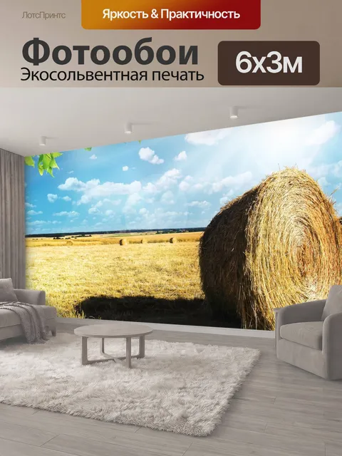 600 × 300 см · Экосольвентная печать