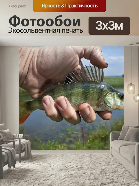 Фотообои Речная рыба, грубая рыбалка, окунь