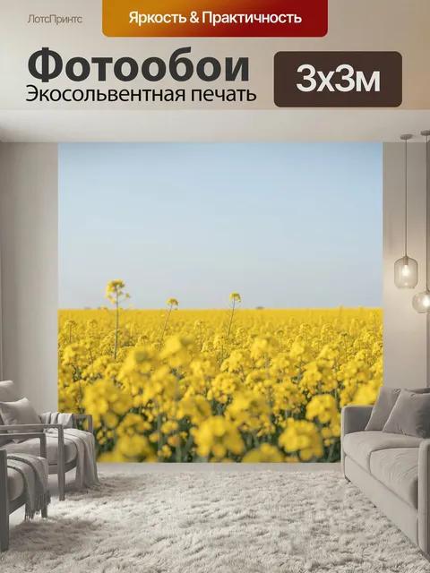 Фотообои Поле желтого рапса под небом. Бескрайний цветущий луг с золотистыми соцветиями на фоне светло-голубого горизо…