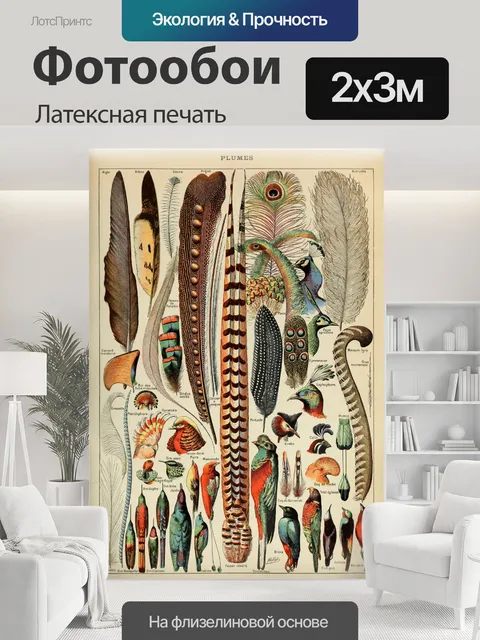200 × 300 см · Латексная печать