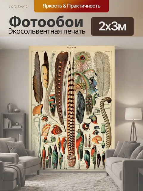 200 × 300 см · Экосольвентная печать
