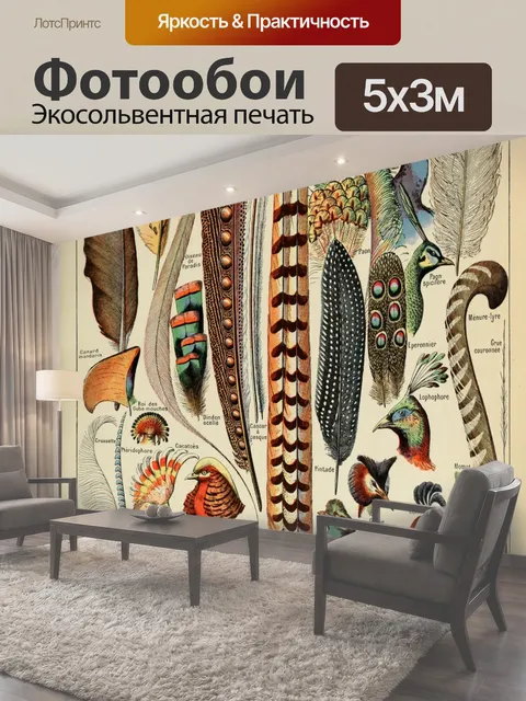 Фотообои Перья Птицы Винтаж Арт Красивый винтажный принт художника Адольфа Милло из разных птиц и перьев пух Перо