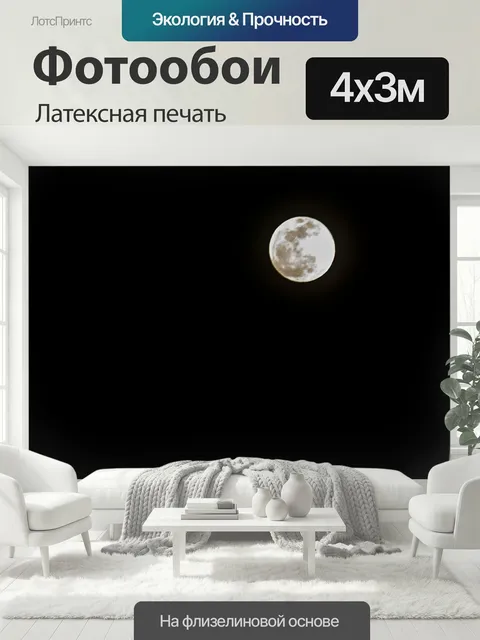 400 × 300 см · Латексная печать