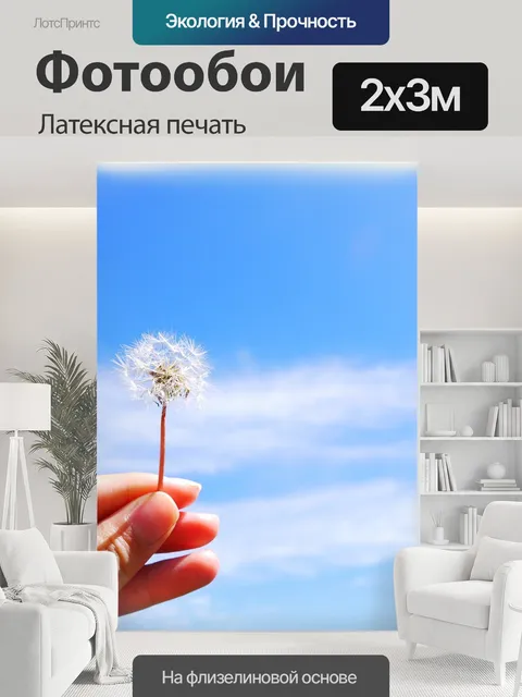 200 × 300 см · Латексная печать