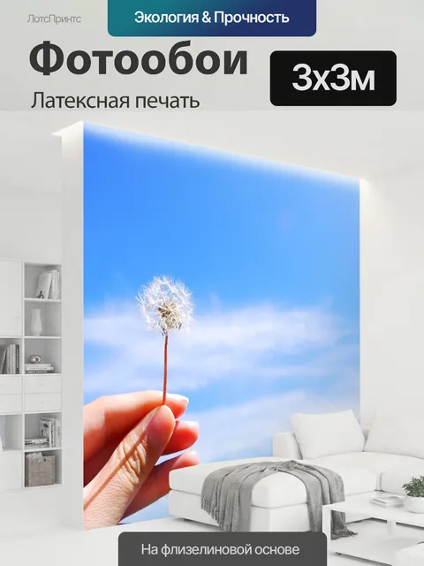 300 × 300 см · Латексная печать