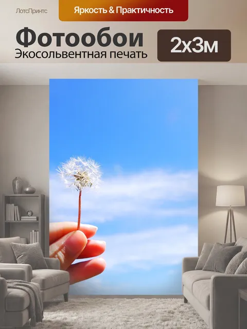 200 × 300 см · Экосольвентная печать