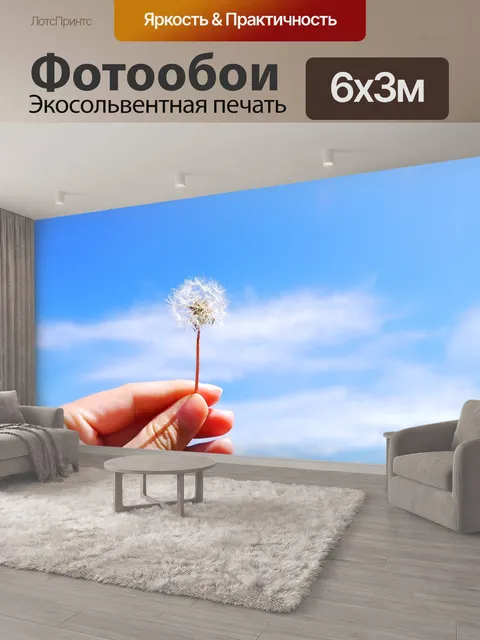 600 × 300 см · Экосольвентная печать