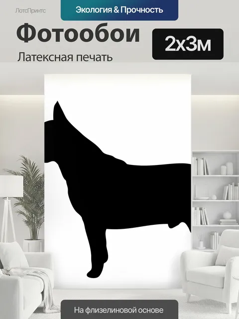200 × 300 см · Латексная печать