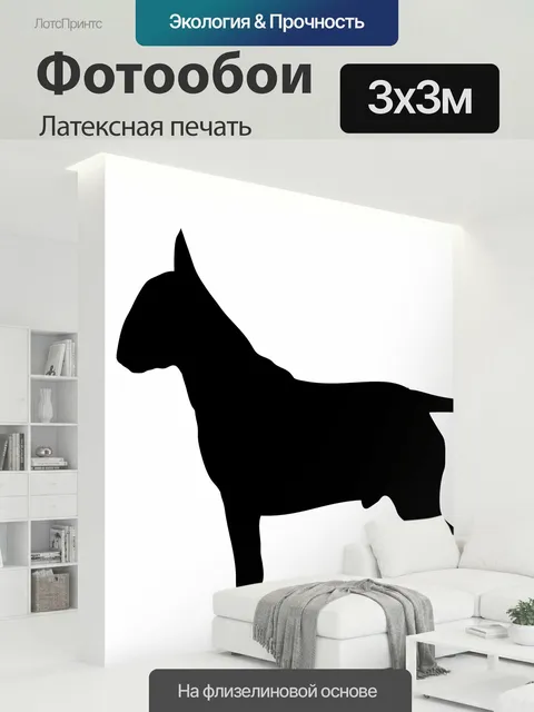 300 × 300 см · Латексная печать