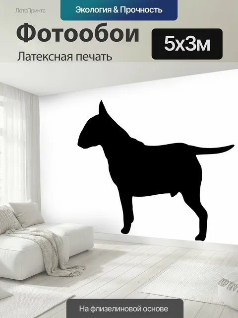 500 × 300 см · Латексная печать