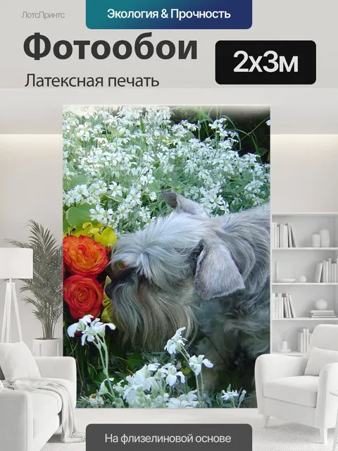 200 × 300 см · Латексная печать