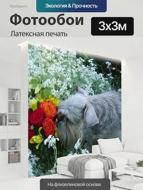 300 × 300 см · Латексная печать