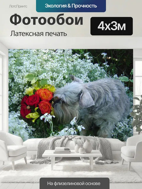 400 × 300 см · Латексная печать