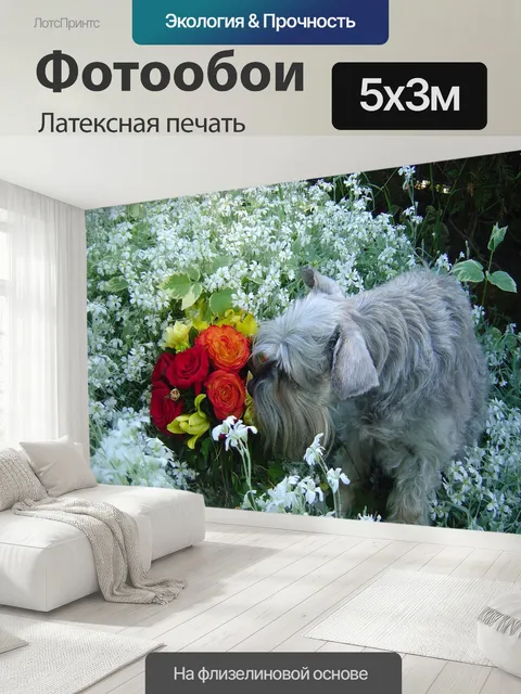 500 × 300 см · Латексная печать
