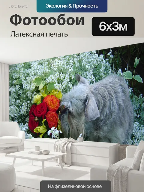 600 × 300 см · Латексная печать