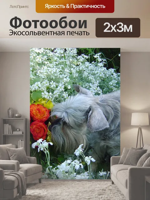 200 × 300 см · Экосольвентная печать