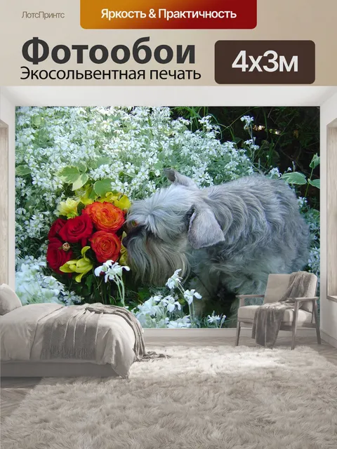 400 × 300 см · Экосольвентная печать
