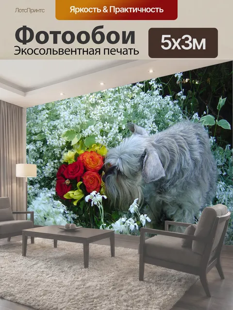 500 × 300 см · Экосольвентная печать