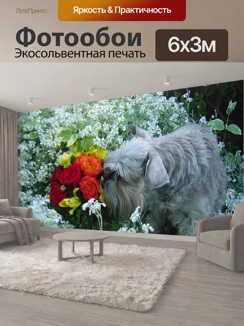 600 × 300 см · Экосольвентная печать