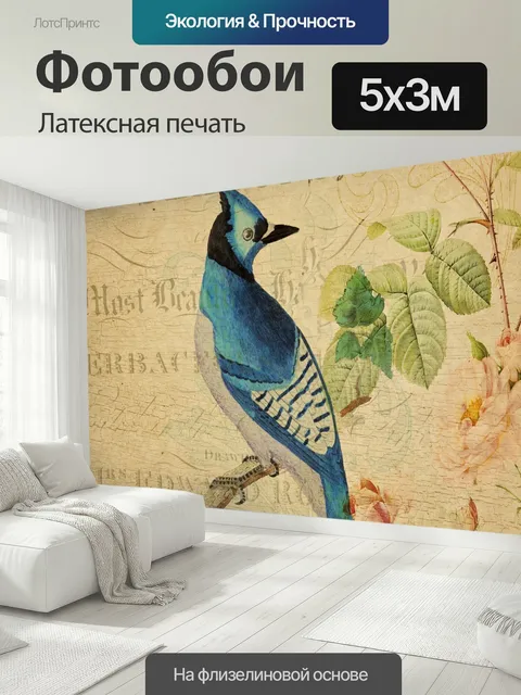 500 × 300 см · Латексная печать