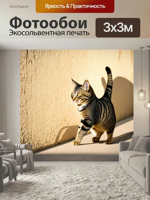 Фотообои Кот, играющий с тенями на стене в солнечный день