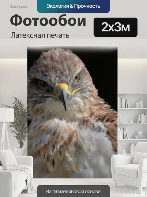 200 × 300 см · Латексная печать