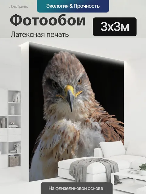 300 × 300 см · Латексная печать