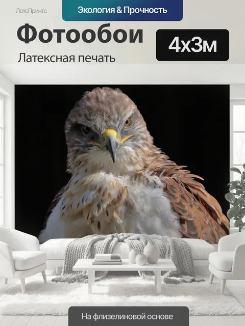 400 × 300 см · Латексная печать