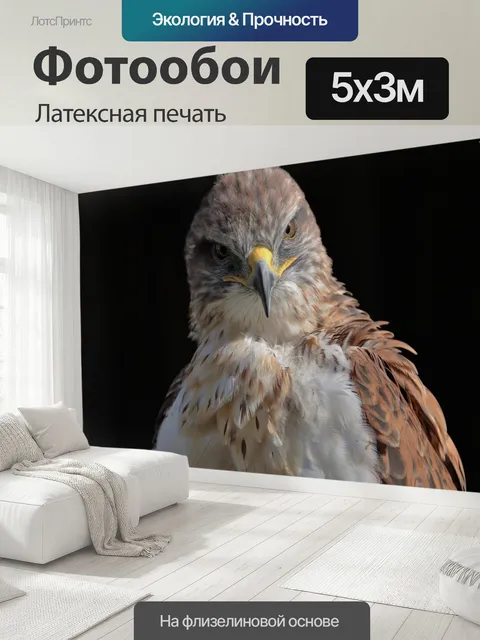 500 × 300 см · Латексная печать