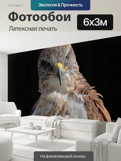 600 × 300 см · Латексная печать